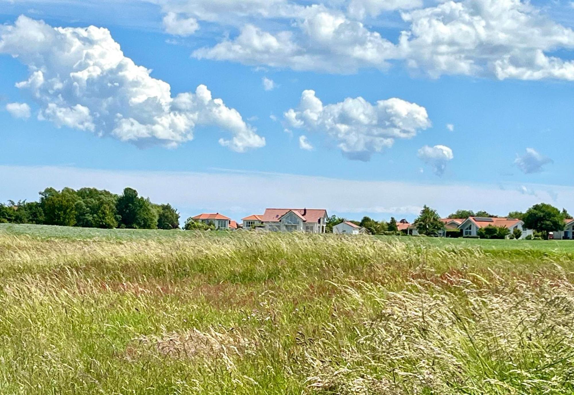 Ferienhaus Ruegen-Relax トレント エクステリア 写真